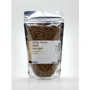 Süpürge Tohumu 150 gr