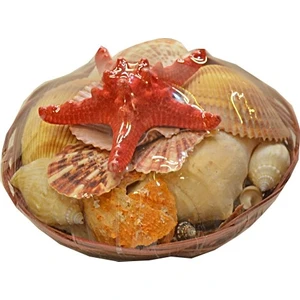 Fethiye Hediyelik Deniz Kabuğu Sepeti