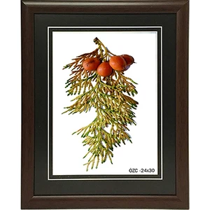 Dekorasyon  Resim Çerçevesi 24 x 30 cm  Kahverengi