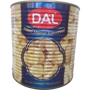 Dilimli Mantar Konservesi