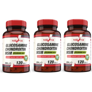 Glucosamine Chondroitin Msm 120 Tablet x 3 Kutu 360 Tablet