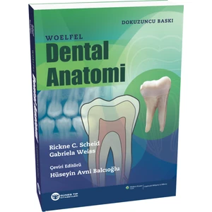 Woelfel Dental Anatomi - Hüseyin Avni Balcıoğlu