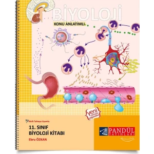 Pandül Yayınları 11. Sınıf Biyoloji Defteri