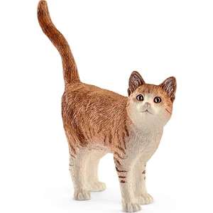 Kedi 13836