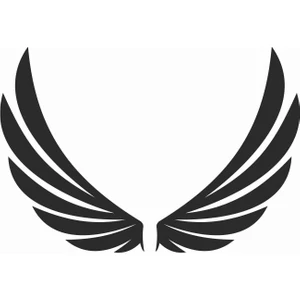 Sticker Atölyesi Kanat - Wings  Sticker - 20630 Siyah 8 x 11.5 cm