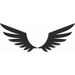 Sticker Atölyesi Kanat - Wings  Sticker - 20631 Siyah 6 x 16 cm