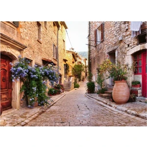 France 1000 Parça Puzzle RPB149759