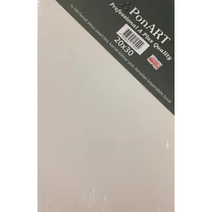 Professional A Plus Quality Tuval 20 x 30 cm