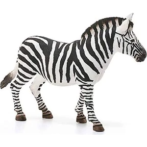 Dişi Zebra 14810