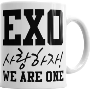 Baskı Dükkanı Exo We Are One Kupa Bardak Porselen