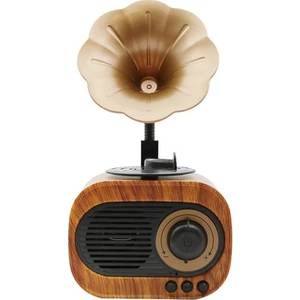 Teknonow B5 Nostaljik Mini Gramafon Radyo