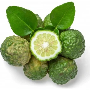 Citrus Aurantium Bergamia Bergamut Fidanı Bergamot Saksıda