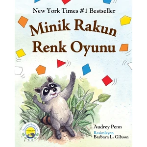 Minik Rakun Renk Oyunu - Audrey Penn