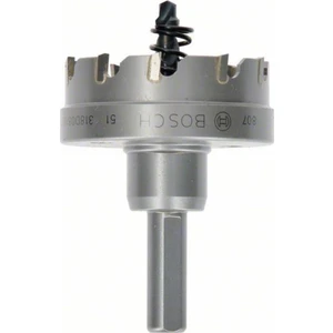 Tct Elmas Uçlu Panç 51Mm - 2608594152