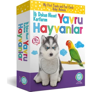 Circle Toys İlk Dokun Hisset Kartlarım Yavru Hayvanlar
