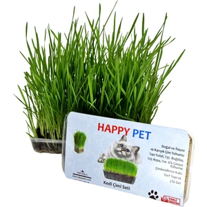 Happy Pet Kedi Çimi Seti 2'li Paket 100 gr Karışım Çim