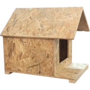 Güvercin Kümesi İstanbul Kedi Evi-Barınak-Kedi Klubesi-Yuva