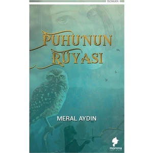 Puhu’nun Rüyası - Meral Aydın