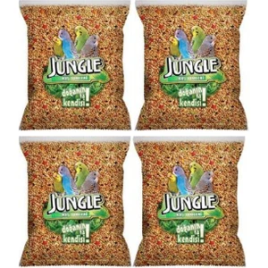 Poşet Muhabbet Kuşu Yemi 500 gr x 4 Adet