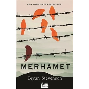 Merhamet  - Bryan Stevenson