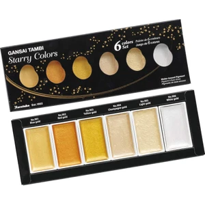 Suluboya Pigment Starry Color 6 Renk Mc20Sc/6V