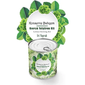 Konserve Bahçem Kıvırcık Yetiştirme Kiti