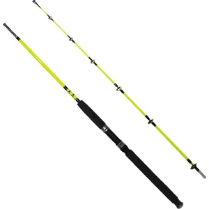 Pagrus 180CM 60-120GR 2p Bot Kamışı
