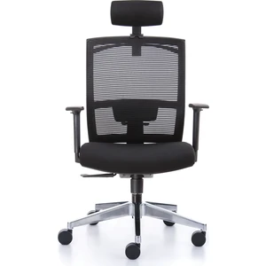 File Başlıklı Ergonomik Yönetici Koltuğu