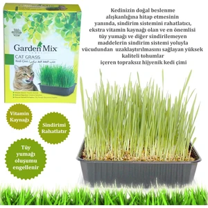 Garden Mix  Kedi Çimi