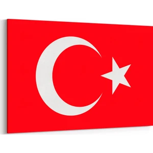 Türk Bayrağı Tablosu