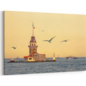 Martılar ve Kız Kulesi,  Tablosu