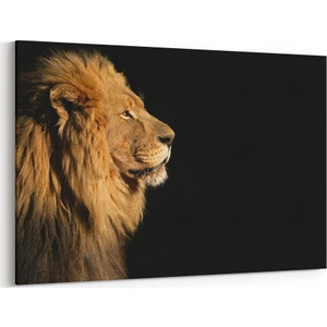 Profil Çekim Aslan Tablosu