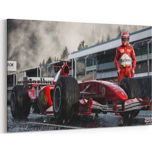 Michael Schumacher - Ferrari Tablosu