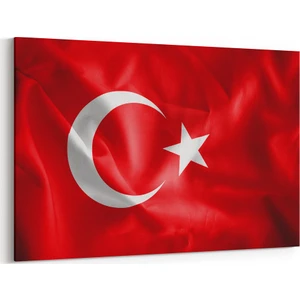 Türk Bayrağı  Tablosu