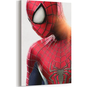 Örümcek Adam Tablosu