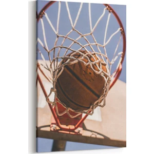 Basketbol ve Basketbol Topu Tablosu