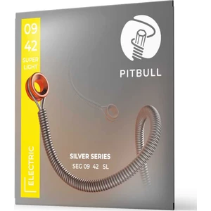 Pitbull Strings Silver Series Seg 09-42 Sl Takım Tel Elektro Gitar Teli