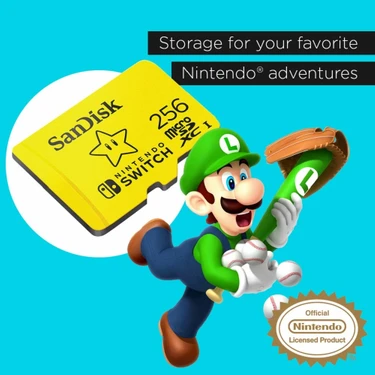 Micro sd card clearance 256gb switch