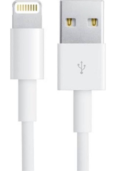 Ats Apple iPhone Uyumlu İpad İpod Lightning 2.4A Hızlı Şarj Kablosu ve Data Kablosu 1 mt