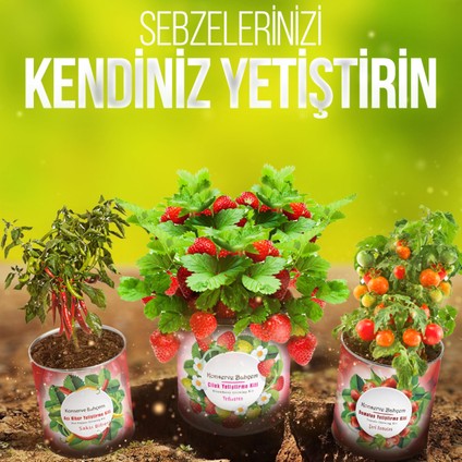 Havuç Yetiştirme Kiti fiyatları