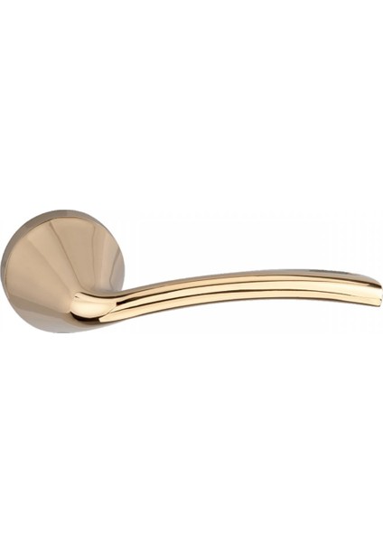 4010.BK.PVD Kapı Kolu Wc Tipi Altın Metal