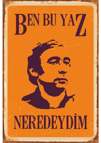 Hayat Poster Ben Bu Yaz Neredeydim Şener Şen Yeşilçam Poster