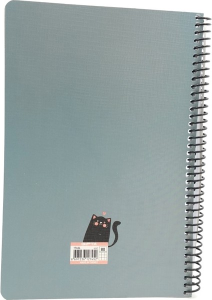 Meow 80 Yaprak Çizgili A6 Defter