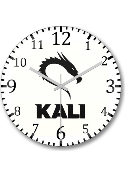 Kali Linux Duvar Saati Bombeli Gerçek Cam