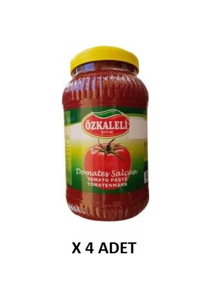 Tuzlu Domates Salçası Koli 3600 gr x 4'lü