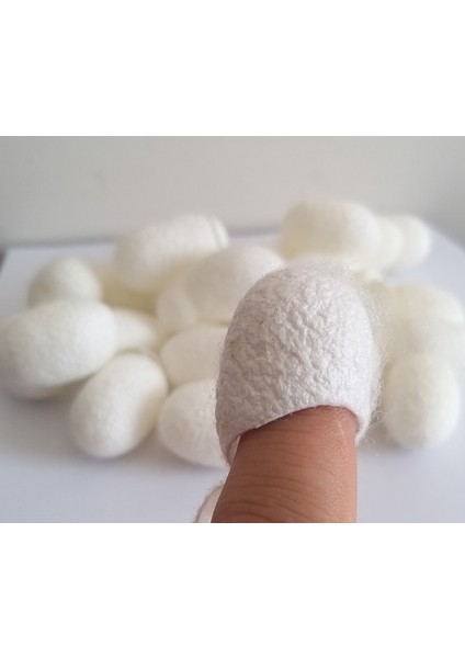 Ipek Böceği Kozası Yüz Peelingi-40 Adet