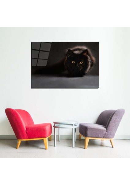 Siyah Kedi Cam Tablo 50 x 70 Uv Baskı Temperli modelleri