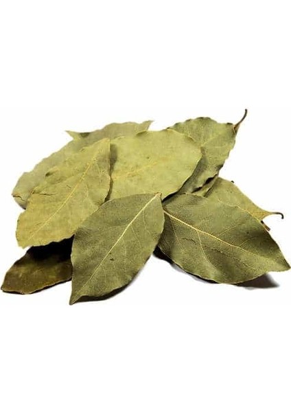 Defne Yaprağı 15 gr