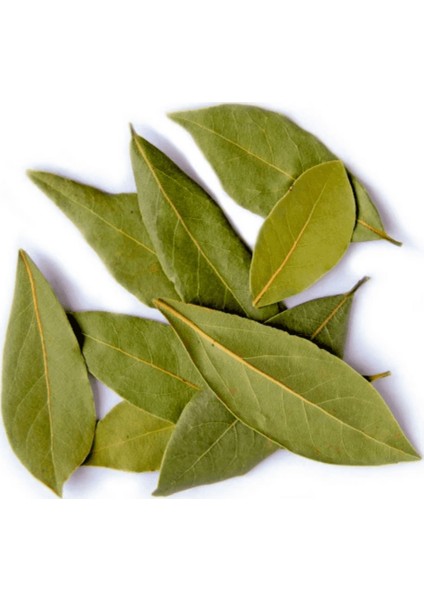 Mersin Yaprağı 20 gr