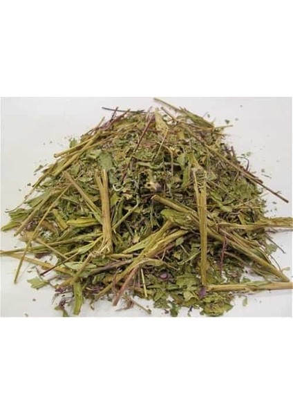 Yakı Otu 40 gr fiyatları